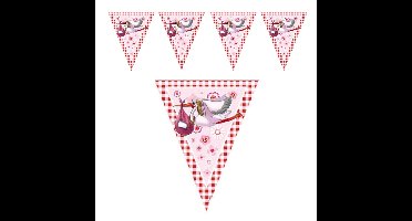 Folat Geboorte vlaggen slinger - geboorte meisje - 6 mtr - versiering