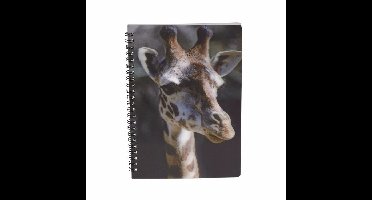 Giraffe schrift 3D 21cm