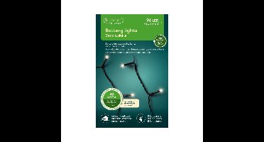 Kerstverlichting - twinkle - op batterij - warm wit - buiten - 96 lampjes - boomverlichting