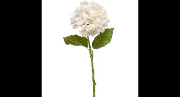 Kunstbloem Hortensia tak - 52 cm - wit - Real Touch - hydrangea - kunst zijdebloemen