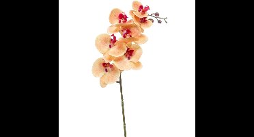Kunstbloem Orchidee - 83 cm - zalm kleurig - losse tak - kunst zijdebloem - Phalaenopsis
