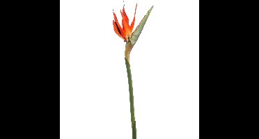 Kunstbloem Strelitzia - 85 cm - losse tak - kunst zijdebloem - Paradijsvogelplant - decoratie