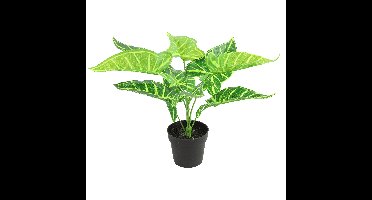 Kunstplant Alocasia in bloempot - Groen - 15 x 32 cm