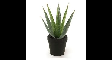 Kunstplant Aloe Vera - groen - in zwarte pot - 23 cm