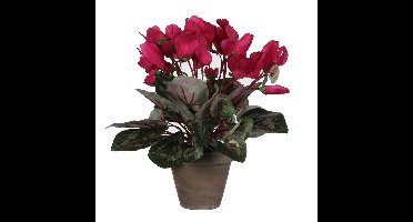 Mica Decorations Kunstplant - cyclaam - in pot - roze - 30 cm