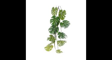 Monstera/gatenplant kunstplant slinger - 180 cm - groen
