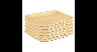Papstar Pure wegwerp servies borden - 6x stuks - vierkant - 18 cm - biologisch afbreekbaar