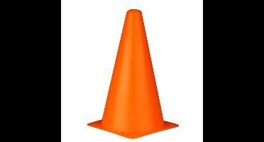 Pionnen voor sport en spel - oranje - 22 cm - kunststof - training kegel