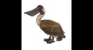 Pluche bruine pelikaan