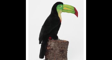 Pluche Toukan knuffel van 40 cm