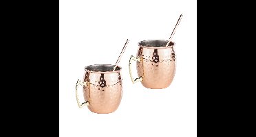 Set van 2x Cocktailbekers/cocktailglazen Moscow Mule - koper - 500 ml - met drinkrietjes