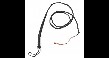 Verkleed accessoires - zweep - 183 cm - zwart - avonturier thema - Carnaval