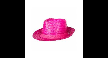 Verkleed hoedje voor Tropical Hawaii Beach party - Stro hoed - volwassenen - Carnaval