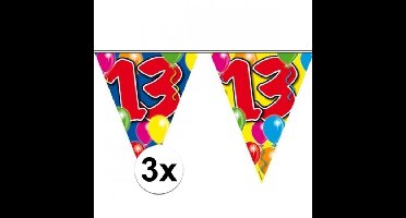 Vlaggenlijn 13 jaar - 3x - 10 meter - plastic - leeftijd versiering - 13e verjaardag