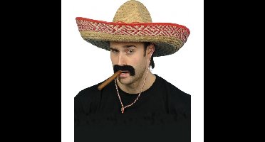2x Mexicaanse Sombrero Fiesta