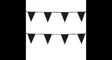 2x Stuks Boland Kartonnen glittervlaggenlijn - 6m - Zwart met glitter - Universeel Thema