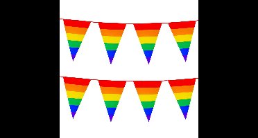 2x Stuks Boland PE vlaggenlijn - 8m - Regenboog - Universeel Thema