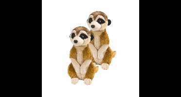 2x stuks pluche stokstaartje knuffels 30 cm