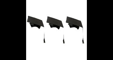 30x stuks afstudeer hoeden geslaagd zwart met kwast voor volwassenen