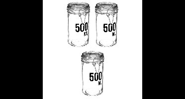 3x stuks inmaakpotten/voorraadpotten 0,5L glas met beugelsluiting