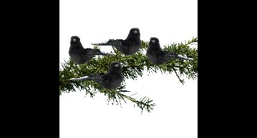 4x stuks kunststof decoratie vogels op clip zwart 12 cm