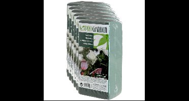 6x stuks steekschuim/oase nat rechthoekig groen 20 x 10 x 7 cm