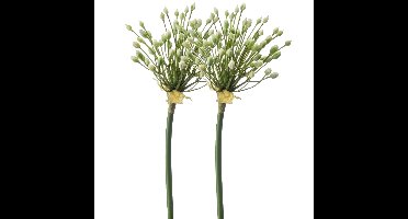 Allium/Sierui kunstbloem - 2x - losse steel - creme - 70 cm - Natuurlijke uitstraling