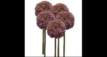 Allium/Sierui kunstbloem - 5x - losse steel - paars - 75 cm - Natuurlijke uitstraling