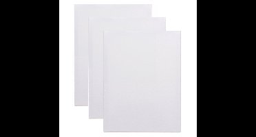 Benson Schildersdoek - 3x - 24 x 30 cm - blanco canvas - katoen - 280 grams