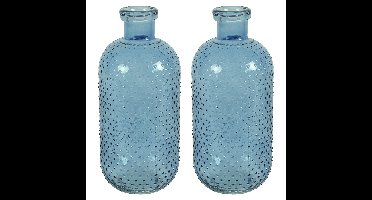 Bloemenvaas Cactus Dots - 2x - blauw transparant - glas - D15 x H35 cm