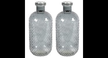 Bloemenvaas Cactus Dots - 2x - donkergrijs transparant - glas - D15 x H35 cm