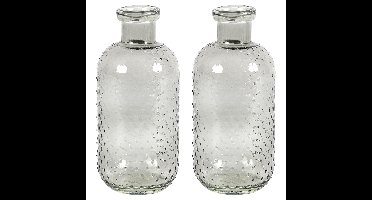 Bloemenvaas Cactus Dots - 2x - grijs transparant - glas - D11 x H24 cm