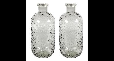 Bloemenvaas Cactus Dots - 2x - grijs transparant - glas - D15 x H35 cm