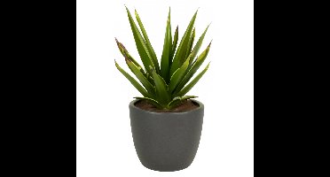 Bloempot mat antraciet grijs keramiek voor kamerplant H17 x D19.5 cm