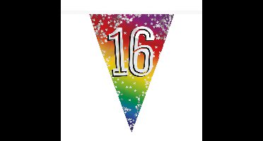 Boland Vlaggenlijn 16 jaar - 6 meter - glitter folie - slinger - 16e verjaardag versiering