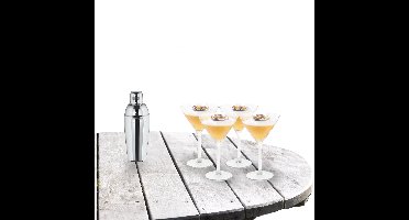 Cocktailshaker set met 4x stuks Martini cocktailglazen 260 ml