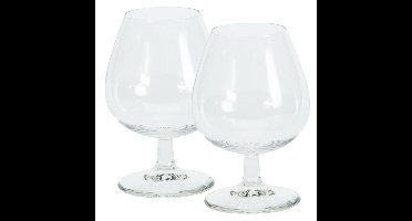 Cognac glazen - 16x stuks - glas - 350 ml - likeur glazen
