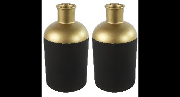 Countryfield Bloemen/deco vaas - 2x - zwart/goud - glas - luxe fles vorm - D17 x H31 cm