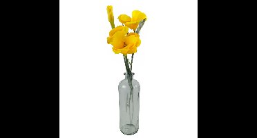 Countryfield Bloemenvaas/flesvaas Dawn - helder glas - D11 x H33 cm - vaas