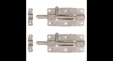 Deltafix schuifslot/plaatgrendel - 2x - 10 x 5cm - RVS - deur - schutting - hek