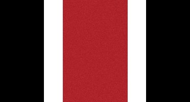 Duni Tafelkleed/tafellaken - Set van 2x stuks - herbruikbaar - rood - 138 x 220 cm - Dunisilk+