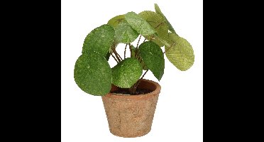 Emerald Kunstplant pilea/pannekoekplant - groen - in pot - 25 cm - kamerplant