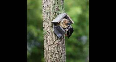 Esschert houten pindakaashuisje - grijs - Old Look - vogelvoederhuisje