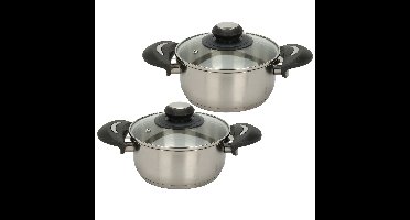 Excellent Houseware Kookpannen set - 2x - glazen deksel - RVS - 1.8/3.5 liter