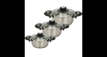 Excellent Houseware Kookpannen set - 3x - glazen deksel - RVS - 1.4/1.8/2.7 liter