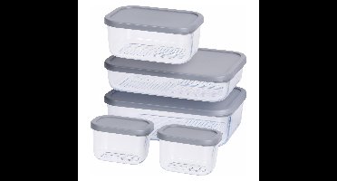 Excellent Houseware Vershoudbakjes - glas/kunststof - grijs/transparant - 5x - bewaarbakjes