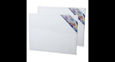 Gerimport Canvas schildersdoek - 2x - 50 x 40 cm - rechthoekig - doek