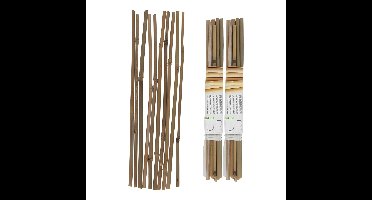 Gerimport Plantenstokken - 20x stuks - 30 cm - plantensteun / tonkinstokken