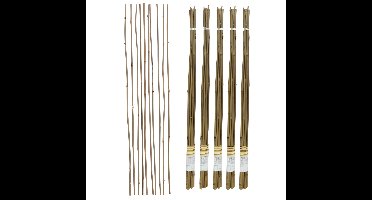 Gerimport Plantenstokken - 50x stuks - 90 cm - plantensteun / tonkinstokken