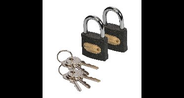 Hangslot met 3 sleutels - 2x - 50 mm - ijzer - kofferslot - heavy duty